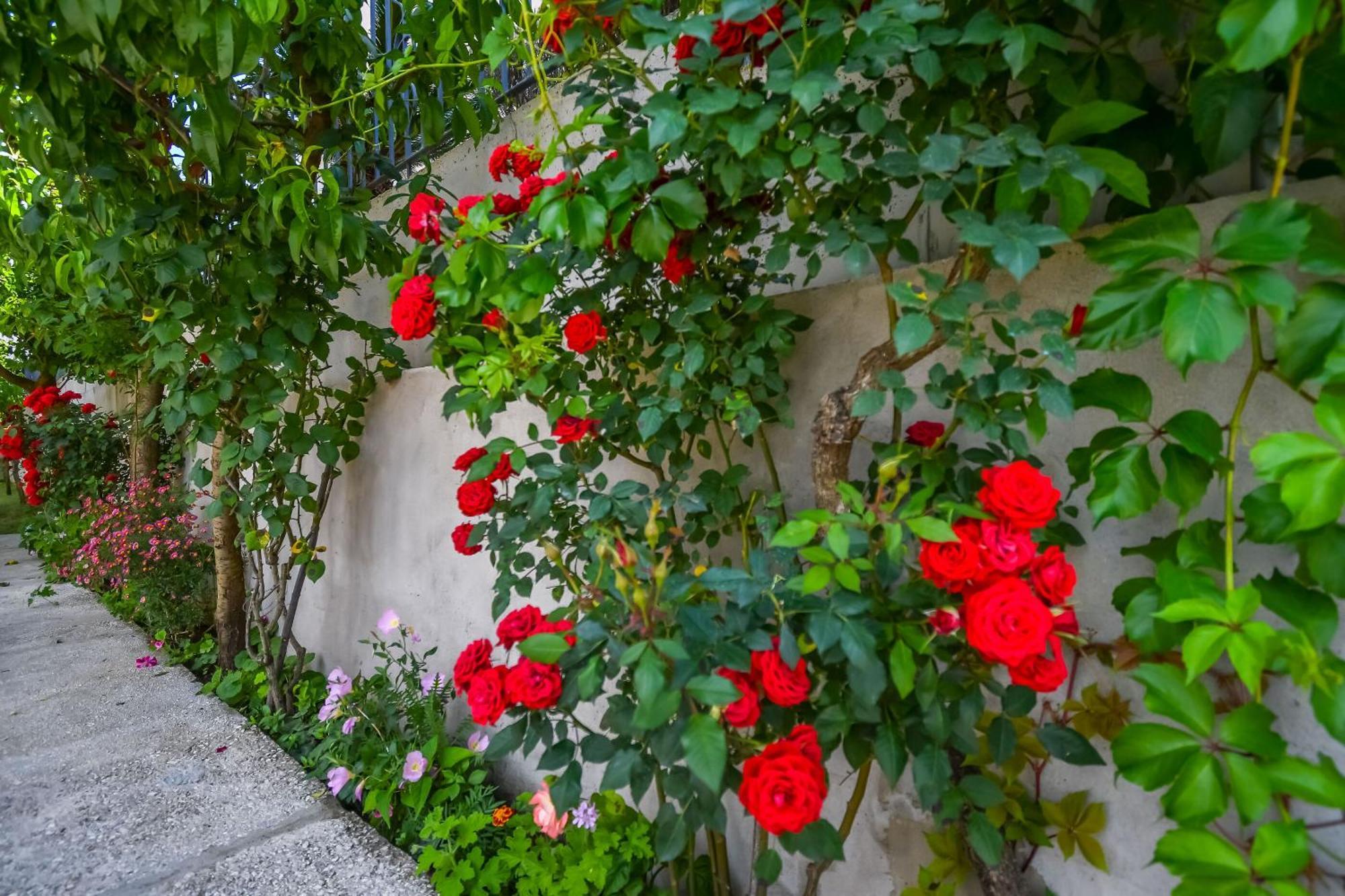 Donji Okrug  Apartments Tonka מראה חיצוני תמונה